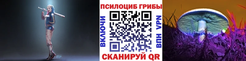 Галлюциногенные грибы мицелий  Купить где  Суоярви 